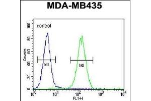 SMYD4 Antibody (C-term) (ABIN655528 and ABIN2845041) flow cytometric analysis of MDA-M cells (right histogram) compared to a negative control cell (left histogram). (SMYD4 antibody  (C-Term))