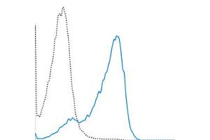 C57Bl/6 splenocytes were stimulated overnight with ConA and then stained with 0. (CD69 antibody  (PerCP-Cy5.5))