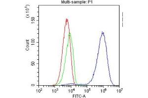 Flow Cytometry analysis of Jurkat cells using anti-TAPA1 antibody . (CD81 antibody  (AA 113-201))