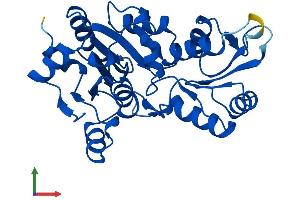 Protein Structure (PS) image for Pyridoxal (Pyridoxine, Vitamin B6) Phosphatase (PDXP) (AA 1-292) protein (His tag) (ABIN7556561)