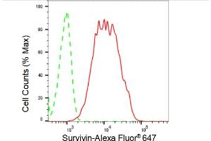 Flow cytometric analysis of Survivin expression in HAP-1 cells using Survivin antibody (ABIN7797727), 1:2,000).