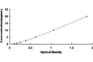 Typical standard curve (HSPB7 ELISA Kit)