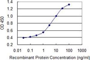 Detection limit for recombinant GST tagged PRKCD is 0. (PKC delta antibody  (AA 577-676))