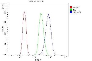 Flow Cytometry analysis of PC-3 cells using anti- Hexokinase 1/HK1 antibody (ABIN7600259). (Hexokinase 1 antibody  (AA 17-323))