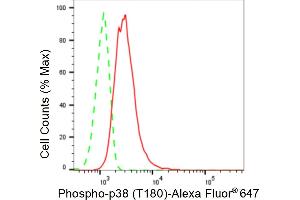 Flow cytometric analysis of Phospho-p38 (T180) expression in C2C12 cells using Phospho-p38 (T180) antibody (ABIN7799445), 1:2,000).