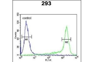 PRDX6 Antibody (Center) (ABIN650765 and ABIN2839536) flow cytometric analysis of 293 cells (right histogram) compared to a negative control cell (left histogram). (Peroxiredoxin 6 antibody  (AA 103-132))