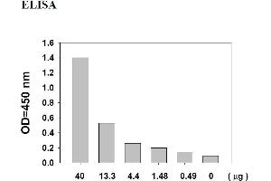 AKT1 ELISA Kit