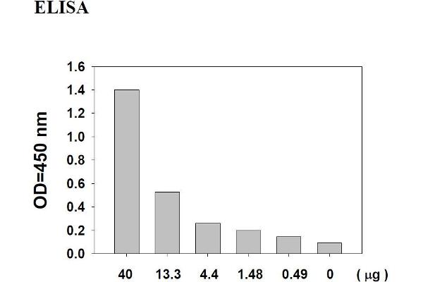 AKT1 ELISA Kit