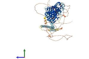 AlphaFold protein structure predicition of Human Recombinant SYCP2L Protein, UniprotID Q5T4T6