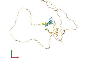 AlphaFold protein structure predicition of Human Recombinant CITED2 Protein, UniprotID Q99967