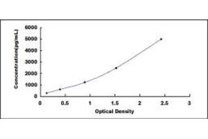 Typical standard curve (CCL1 ELISA Kit)