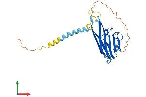 Protein Structure (PS) image for Lymphotoxin beta (TNF Superfamily, Member 3) (LTB) (AA 1-244) protein (His tag) (ABIN7544426)