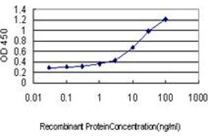 Detection limit for recombinant GST tagged GADD45G is approximately 0. (GADD45G antibody  (AA 1-159))