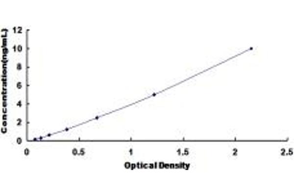 MGLL ELISA Kit