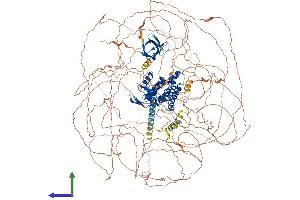 AlphaFold protein structure predicition of Human Recombinant RUSC2 Protein, UniprotID Q8N2Y8 (RUSC2 Protein (AA 1-1516) (His tag))