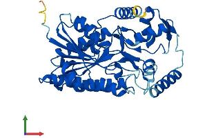 AlphaFold protein structure predicition of Mouse Recombinant Hsd3b7 Protein, UniprotID Q9EQC1
