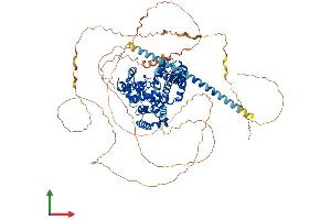 AlphaFold protein structure predicition of Human Recombinant TBC1D10B Protein, UniprotID Q4KMP7 (TBC1D10B Protein (AA 1-808) (His tag))