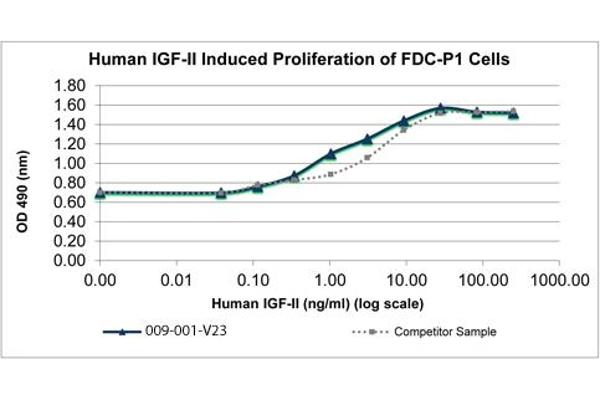 IGF2 Protein