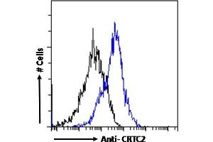 ABIN5539499 Flow cytometric analysis of paraformaldehyde fixed HeLa cells (blue line), permeabilized with 0. (CRTC2 antibody  (C-Term))