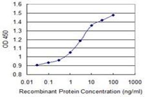 Detection limit for recombinant GST tagged PCSK1 is 0. (PCSK1 antibody  (AA 652-753))