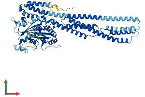 AlphaFold protein structure predicition of Mouse Recombinant Gbp1 Protein, UniprotID Q01514