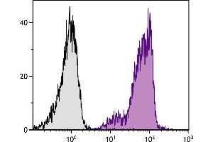 BALB/c mouse bone marrow cells were stained with Rat Anti-Mouse CD44-SPRD. (CD44 antibody  (SPRD))