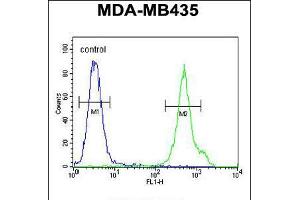 Flow cytometric analysis of MDA-MB435 cells (right histogram) compared to a negative control cell (left histogram). (CD1e antibody  (AA 184-212))