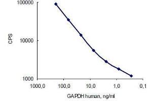 Antigen: Human GAPDH, Capture: GAPDH antibody (10R-G109a) served as a coating; Detection: GAPDH antibody (10R-G109a)  (labelled with stable Eu3+ chelate). (GAPDH antibody)