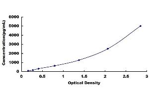 Typical standard curve