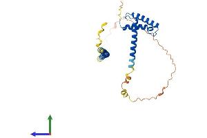 Protein Structure (PS) image for Myb/SANT-Like DNA-Binding Domain Containing 3 (MSANTD3) (AA 1-275) protein (His tag) (ABIN7549586)