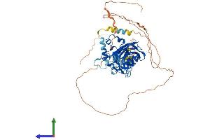 Protein Structure (PS) image for Early B-Cell Factor 1 (EBF1) (AA 1-591) protein (His tag) (ABIN7546704)