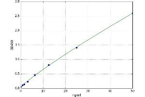 Leucyl/cystinyl Aminopeptidase (LNPEP) ELISA Kit