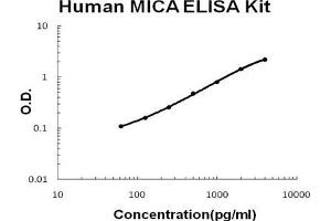 Human MICA PicoKine ELISA Kit standard curve (MICA ELISA Kit)