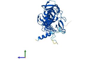 AlphaFold protein structure predicition of Human Recombinant SETD7 Protein, UniprotID Q8WTS6 (SETD7 Protein (AA 1-366) (His tag))