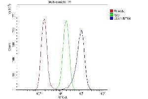 Flow Cytometry analysis of A549 cells using anti-ULK1 antibody (ABIN7602755). (ULK1 antibody  (C-Term))