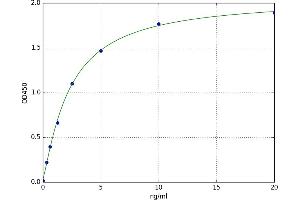 A typical standard curve (LGALS8 ELISA Kit)