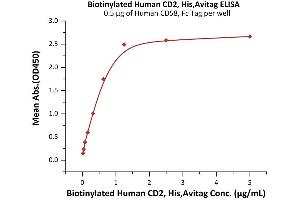 CD2 (CD2) (AA 25-209) (Active) protein (His tag,AVI tag,Biotin)