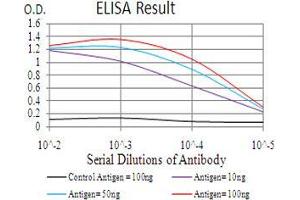 Black line: Control Antigen (100 ng), Purple line: Antigen(10 ng), Blue line: Antigen (50 ng), Red line: Antigen (100 ng), (BMP2 antibody  (AA 283-396))