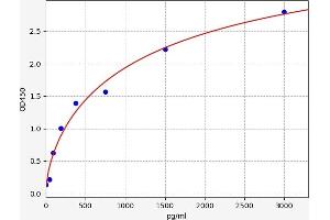 NOTCH3 ELISA Kit