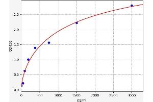 Typical standard curve (NOTCH3 ELISA Kit)