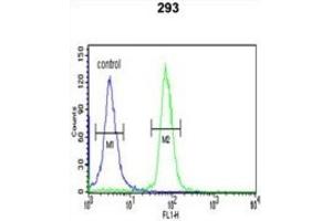 Flow Cytometry (FACS) image for anti-serine/threonine Kinase 40 (STK40) antibody (ABIN3004006) (STK40 antibody)