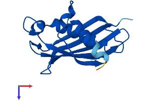 THEM2 Protein (AA 1-140) (His tag)