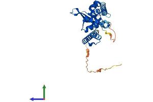 AlphaFold protein structure predicition of Human Recombinant MAGEF1 Protein, UniprotID Q9HAY2 (MAGEF1 Protein (AA 1-307) (His tag))