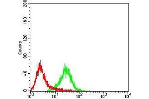 Flow Cytometry (FACS) image for anti-Protein-tyrosine Phosphatase 1C (PTPN6) (AA 243-541) antibody (ABIN5874772) (SHP1 antibody  (AA 243-541))