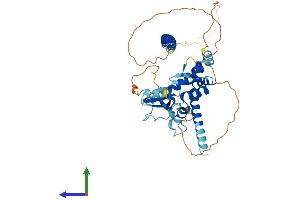 AlphaFold protein structure predicition of Mouse Recombinant Bend5 Protein, UniprotID Q8C6D4