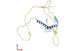 Protein Structure (PS) image for Mesoderm Posterior 1 (MESP1) (AA 1-243) protein (His tag) (ABIN7556779)