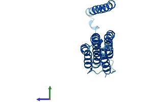 AlphaFold protein structure predicition of Human Recombinant ATP6V0B Protein, UniprotID Q99437 (ATP6V0B Protein (AA 1-205) (His tag))