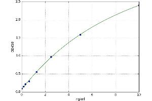 Glypican 2 (GPC2) ELISA Kit