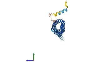 AlphaFold protein structure predicition of Mouse Recombinant Tmem17 Protein, UniprotID Q8K0U3