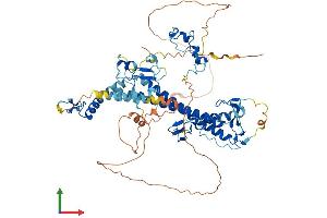 AlphaFold protein structure predicition of Human Recombinant CXXC1 Protein, UniprotID Q9P0U4